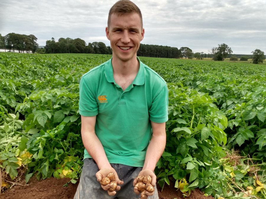 A trial in Scotland looked at precision technology to predict tuber size of potatoes for growers to boost yield and profits