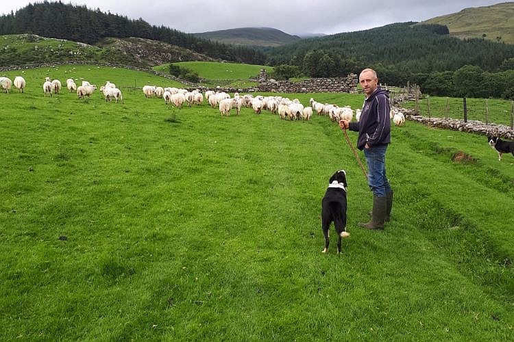 Welsh farmer Emlyn Roberts believes that BCS has been a 'great asset' on his farm