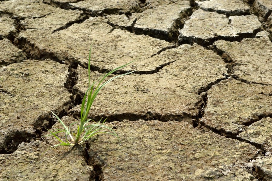 The unions warn climate change could bring on crop failures, famines, and the loss of vast areas of farmland and communities to rising seas