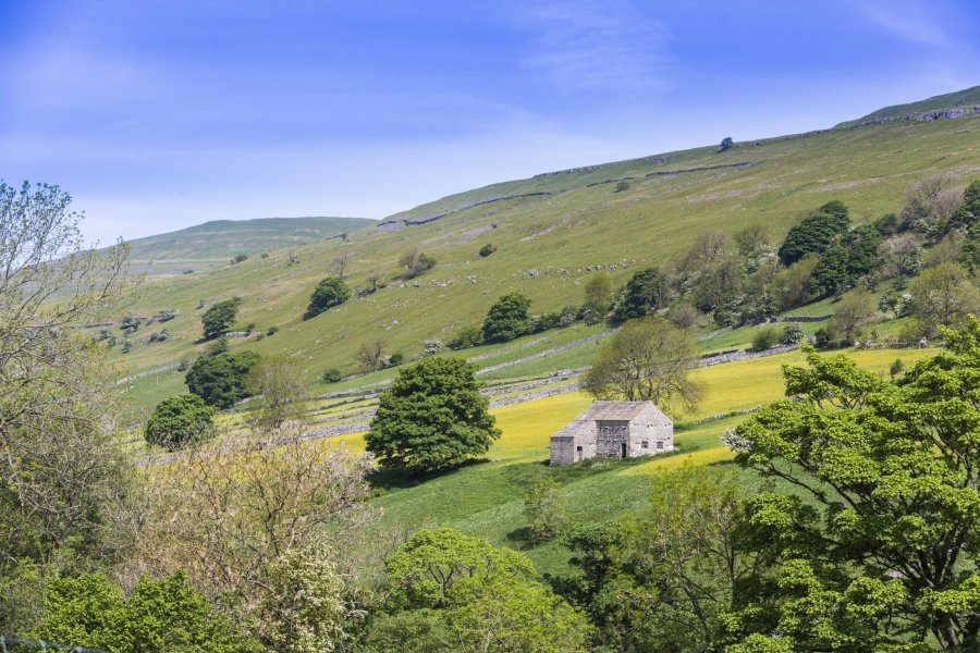 Over 60 farmers and landowners have already committed to carrying out work to boost the environment (Photo: Yorkshire Dales National Park Authority)