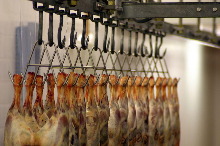 Twelve small abattoirs have closed in the UK in the past 18 months