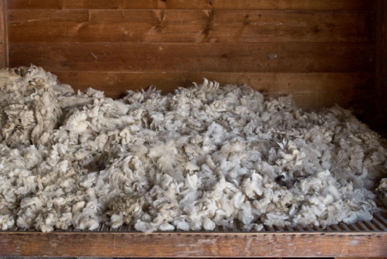 This year's wool sourcing project comes at a particularly crucial time for the British wool and farming industry to the downturn caused by Covid-19