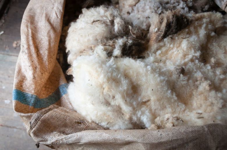 The NFU is throwing its support behind a petition which aims to deliver a new, long-term market for British wool