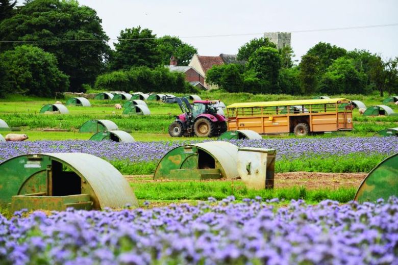 The National Pig Association is calling for the sector's environmental contribution to be recognised in the new ELM scheme