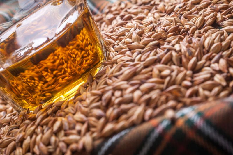 Demand for malting barley was down 29% in June 2020 compared to last year