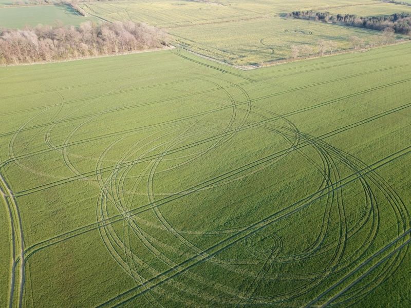 Damage caused to rapeseed crops in January 2020 by a 4x4 driven across farmland