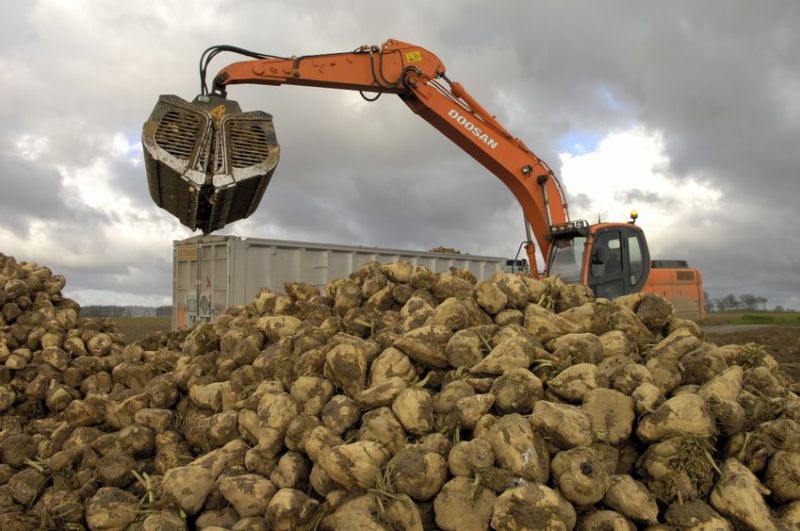 French growers are facing crop losses this year, which could reach 50 percent in the worst cases