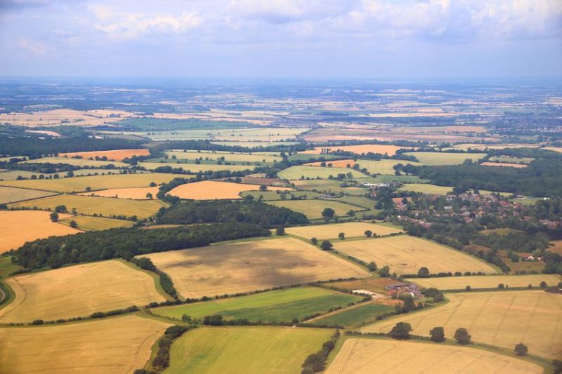 NFU says wheat yields could plummet by a third as volatile weather hits UK crops