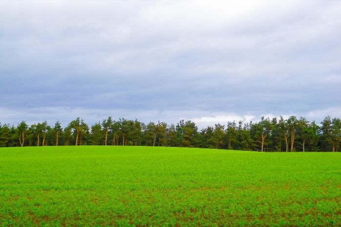 The Scottish agri-food sector is set to go into recession, according to an economist