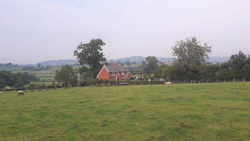 The 60-acre farm is available to let until March 2029 (Photo: Powys County Council)