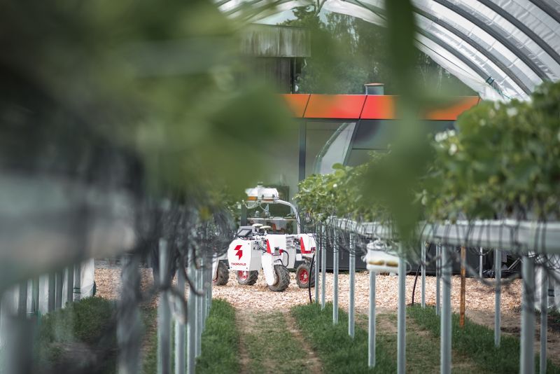 The Thorvald robot fleet aims to improve agricultural sustainability and offer farmers an alternative to traditional labour