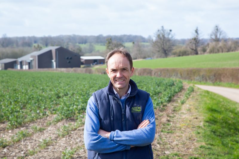 Boosting crop and soil health is helping reduce fungicide inputs for Wiltshire farmer Rob Waterston