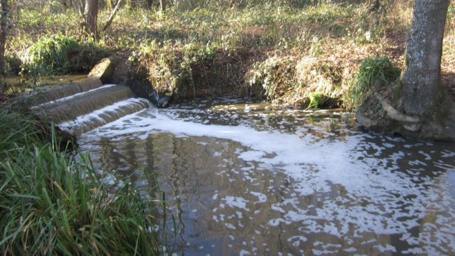 The Environment Agency said a nearby stream close to the college was visibly brown with foam on the top (Photo: Environment Agency)