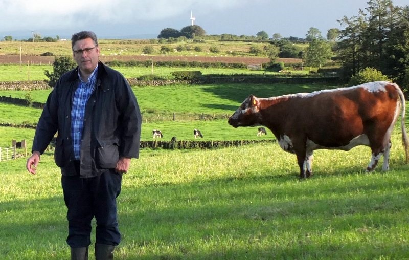 Chairman of the Irish Moiled Cattle Society Brian O’Kane says the auction will have some of the best Irish Moiled cattle in the world