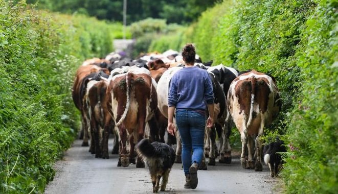 Participants receive free business skills and environmental management training worth £2,000 per farm