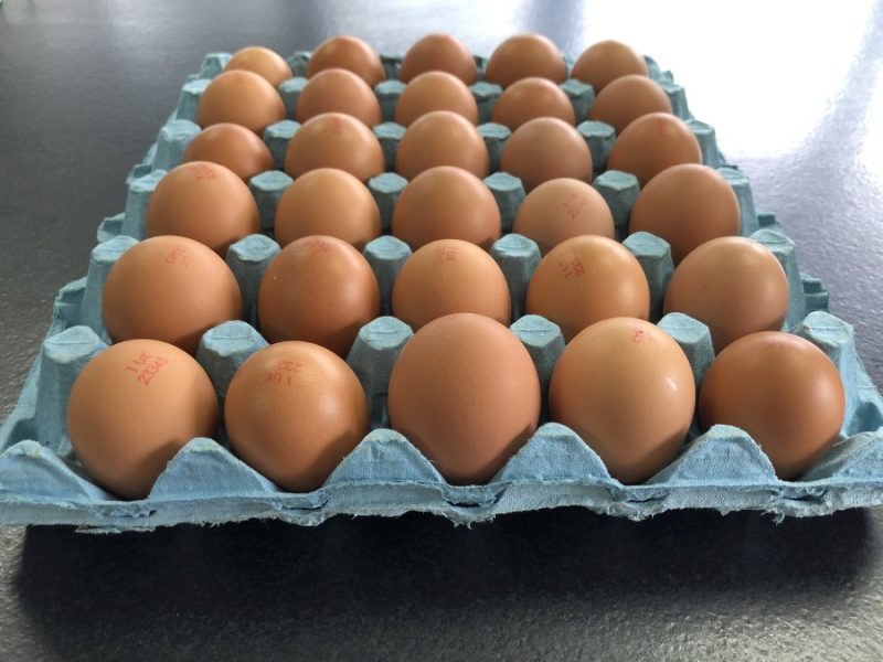 If just 1% of the farmer's eggs are graded as seconds, it can mean a £5,500 loss to his business