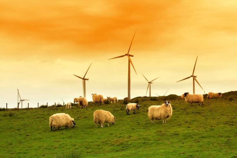 The court ruled that erecting wind-turbines would be 'detrimental to the interests of the landowners'