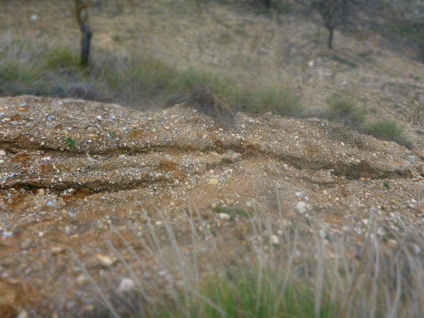 Researchers found more than 90% of the conventionally farmed soils in the study were thinning, and 16% had lifespans of less than a century (Photo: Dan Evans/Lancaster University)