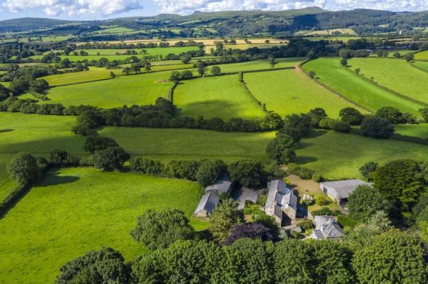 (Photo: Savills)