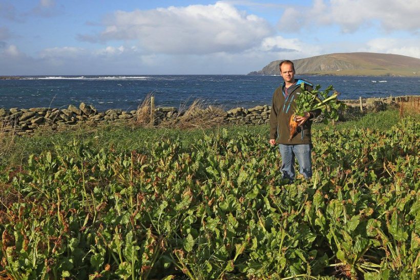 Shetland farmer Jamie Leslie has maximised livestock performance and improved profit by focusing on four key objectives