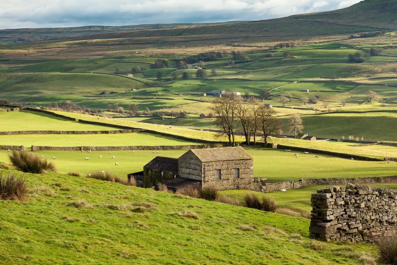 Farms and rural properties are in demand for film and television productions