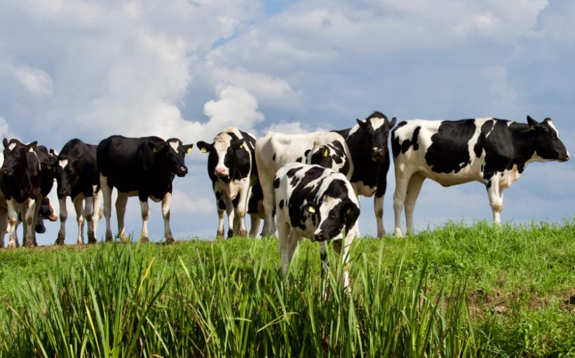 Data was collected from ELISA bulk milk tests from 90 dairy farms across Great Britain