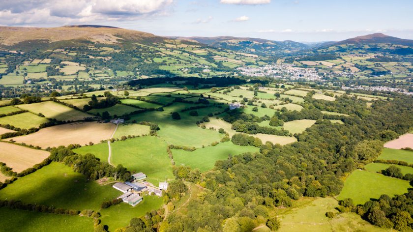 The Agriculture Bill is set to return to the House of Commons, where MPs will decide whether the amendments will pass into law