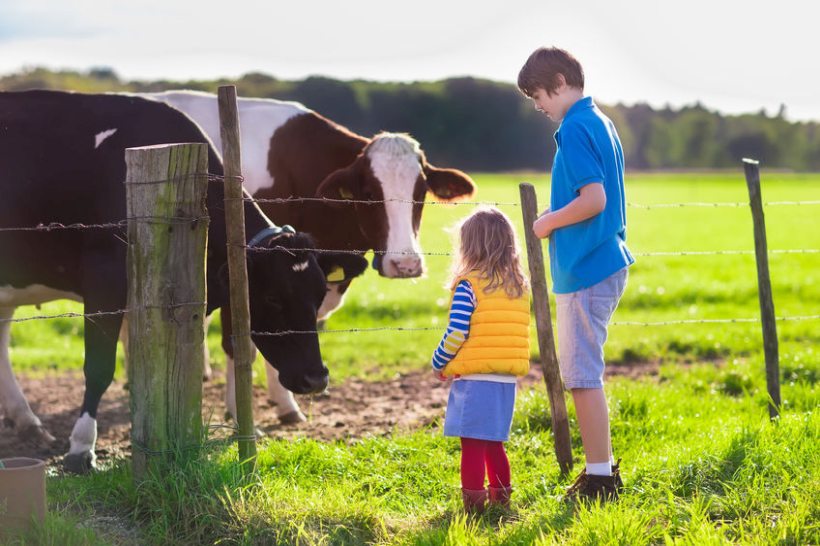 A new survey has found children are disconnected to farming and where their food comes from