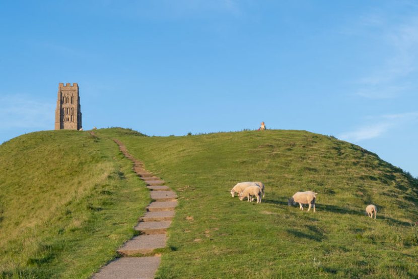 Campaigners say National Trust could set an example to other organisations in putting British wool to more use