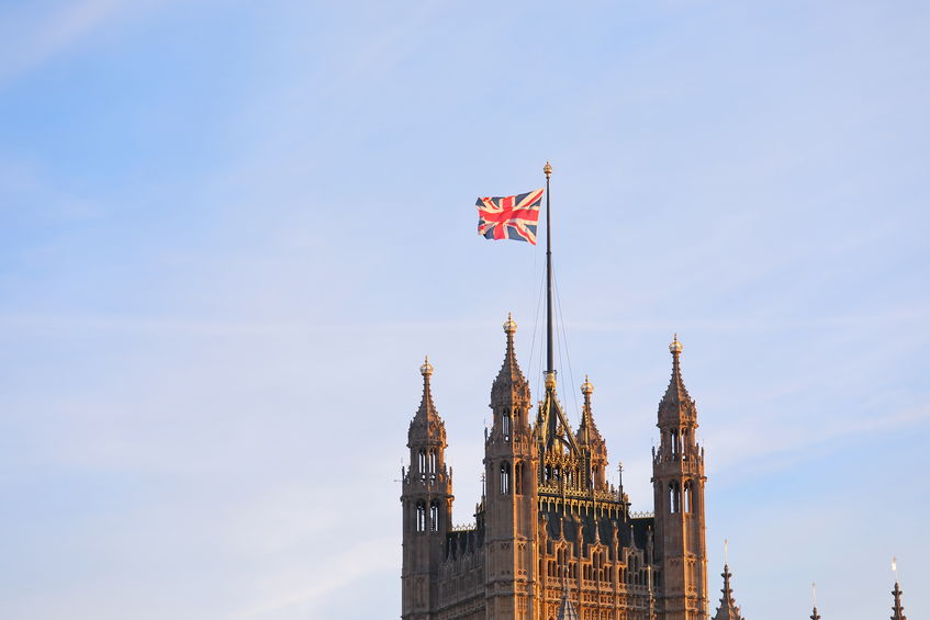 Peers have dealt a blow to the government in an ongoing battle over food standards and trade deals