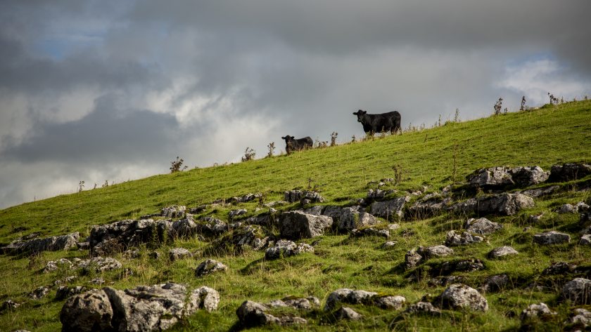 On-farm projects have been awarded funds to enhance their local environment