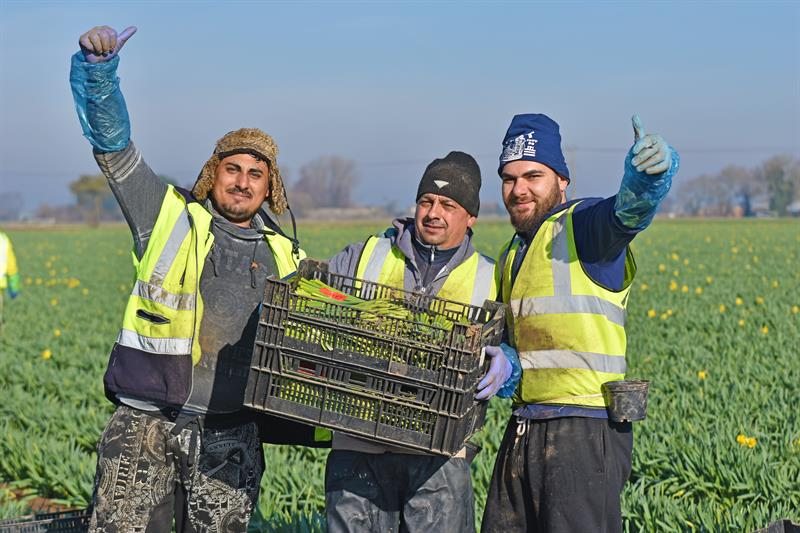 The NFU has urged government to provide clarity on how farms will recruit workers next year