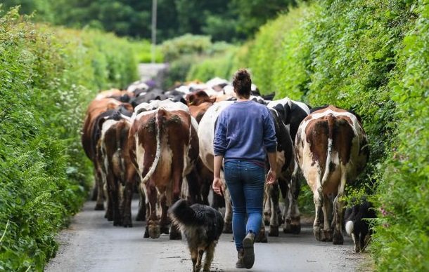 The grant will ensure the Prince's Countryside Fund can continue its Farm Support Initiative