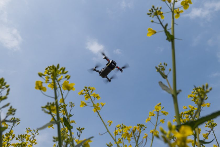 Using AI and satellite data, the app analyses the images to offer data and advice to farmers