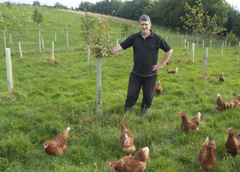 The British Free Range Egg Producers Association is one industry group which backs tree planting