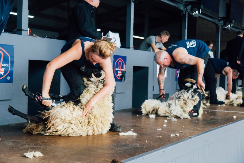 Scotland will host the event at the Royal Highland Centre a year later than planned