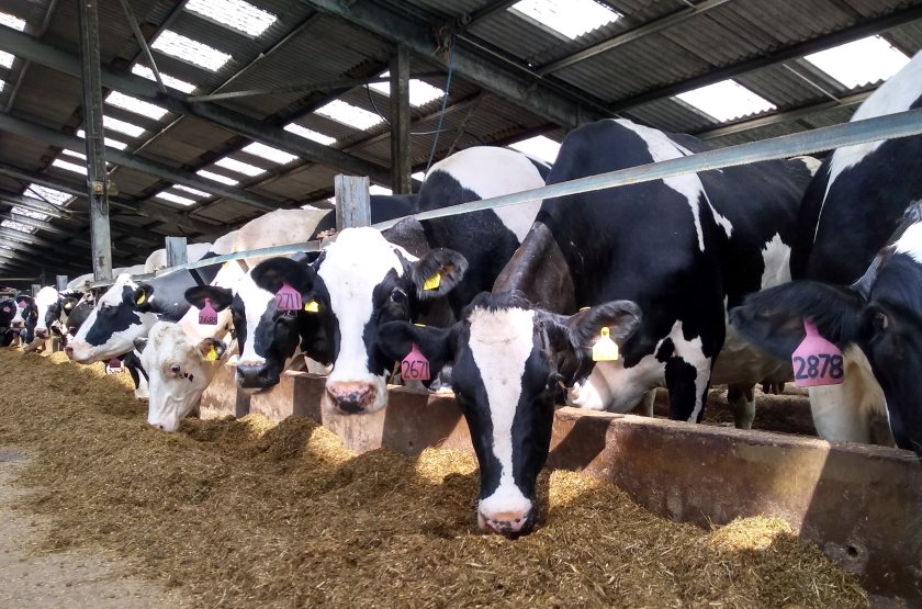 There is evidence showing that protected rapemeal is a viable alternative to soya