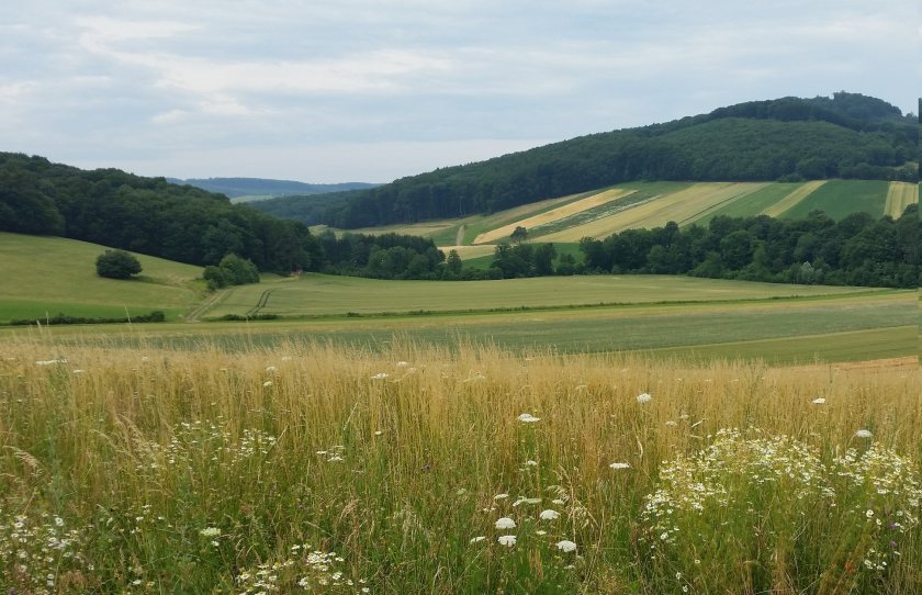 The EU project aims to better understand the ecological impacts of sustainable agriculture