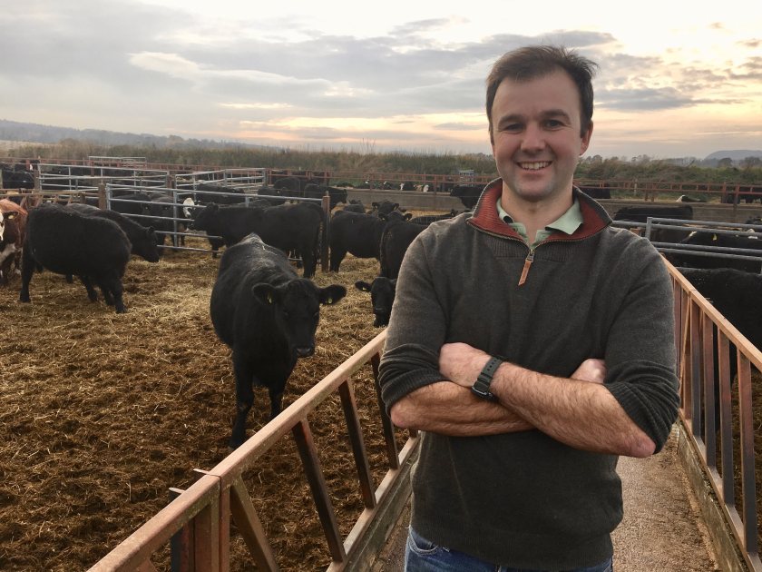 Niall Jeffrey is helping develop an agri-tech firm's new crop service on his farm