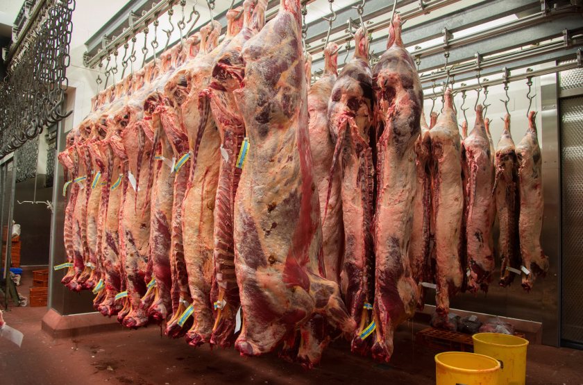 The Agriculture Bill has secured a fairer share of red meat levy for each home nation