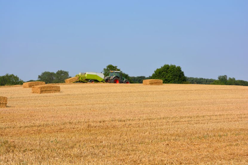 The on-farm assessments will be carried out between November 2020 and March 2021