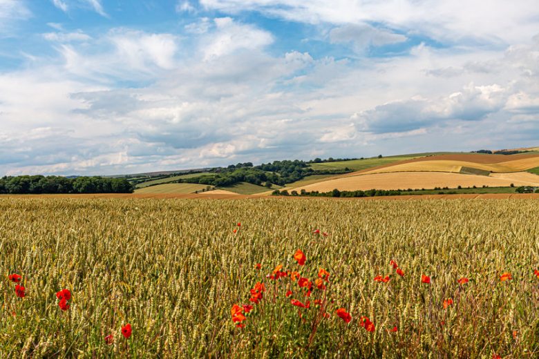 The survey highlights the government's need to build farmers' confidence surrounding the ELMS