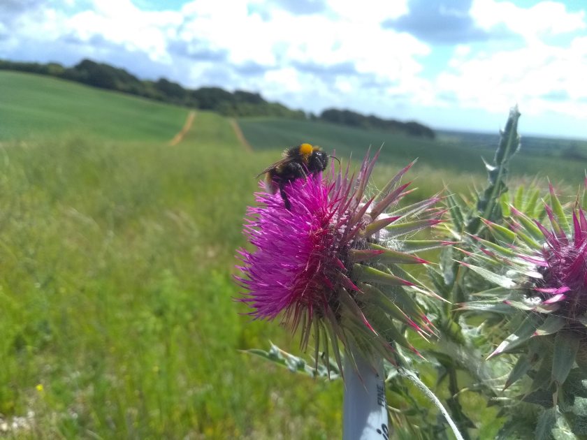 A group of farmers have had their conservation efforts recognised by Defra