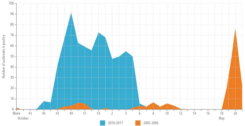 Comparison ‘2005/2006 H5N1’ with ‘2016-2017 H5N(8)’ epidemics