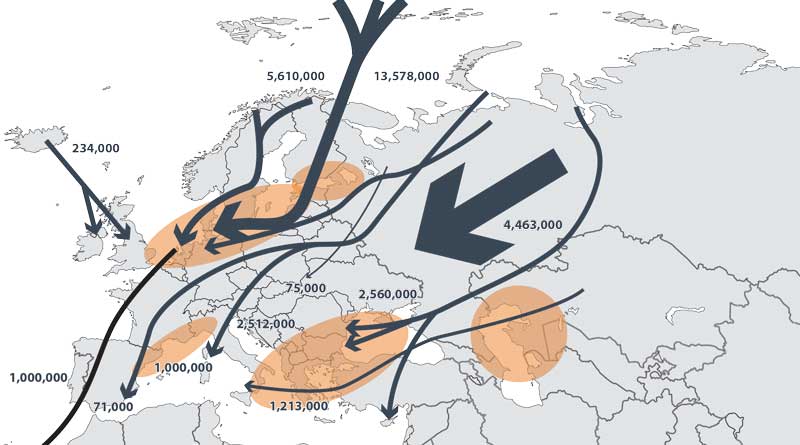 Wild bird migration patterns