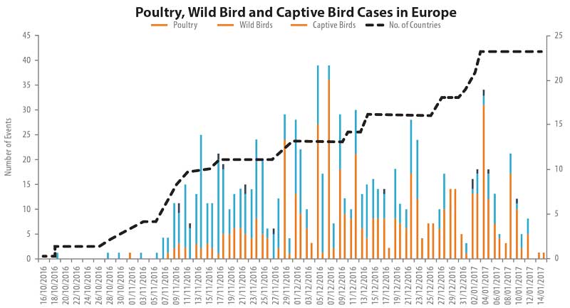 Poultry, wild bird and captive bird cases in Europe