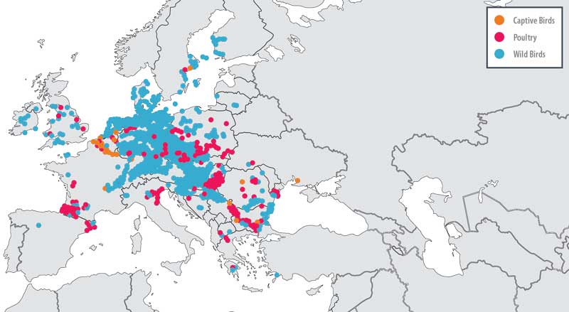 Highly Pathogenic Avian Influenza in Poultry, Captive and Wild Birds. September 2016 - June 2017