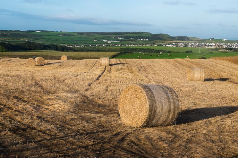 Only 14% of NI farmers expect to retire, meaning they are less likely to have discussed future plans with family