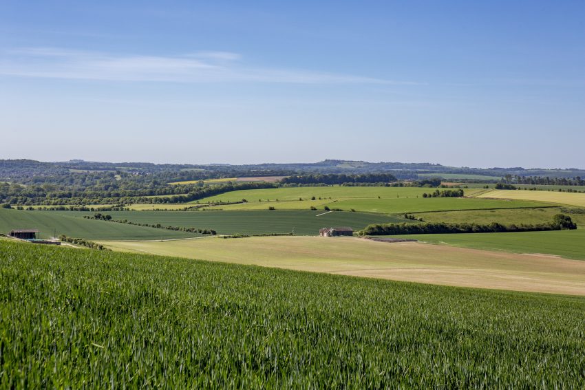 Despite Covid restrictions, the estate was sold under offer in just four weeks (Photo: WebbPaton)