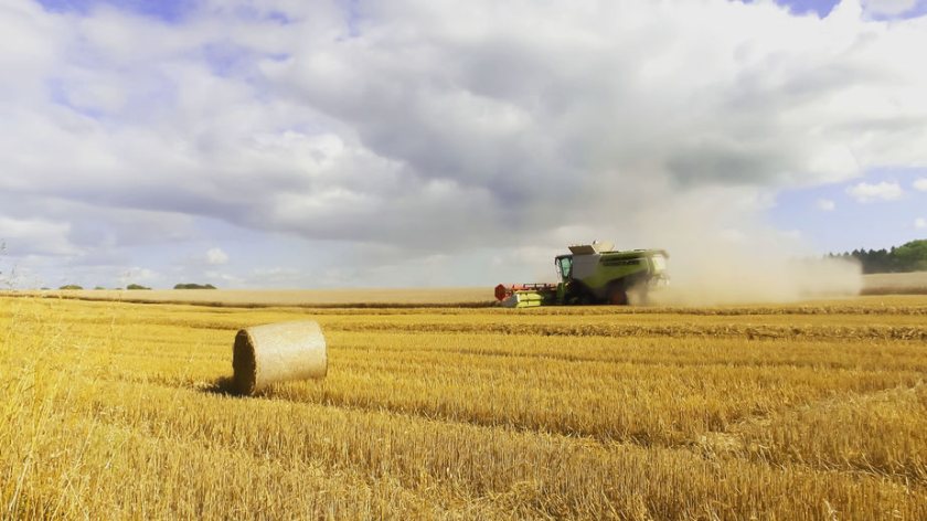 The report provides detailed information on the financial position of farm businesses